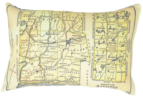 Hastings County Vintage Map Pillow